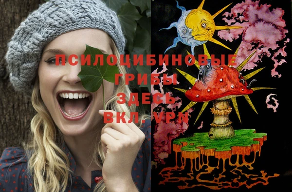 ECSTASY Алексин