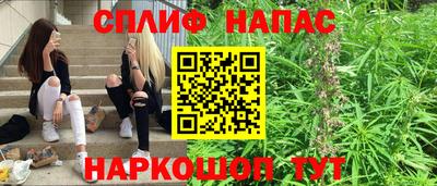 тгк Славгород