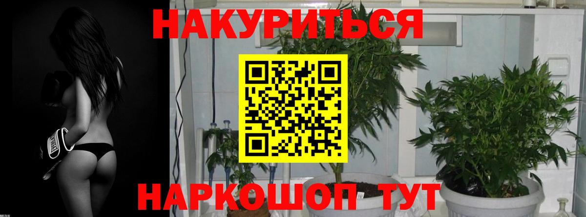 Шишки марихуана гибрид Сосновоборск